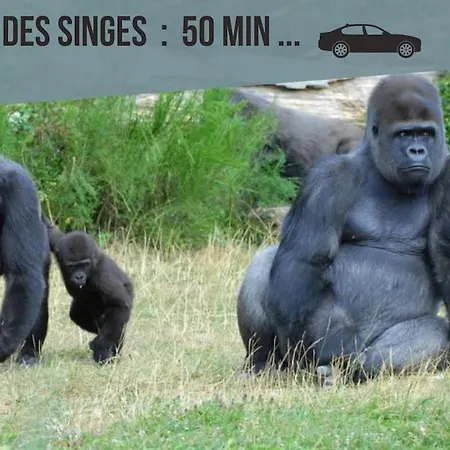 Studio 6 Acces Gare De Et Centre A Pieds *