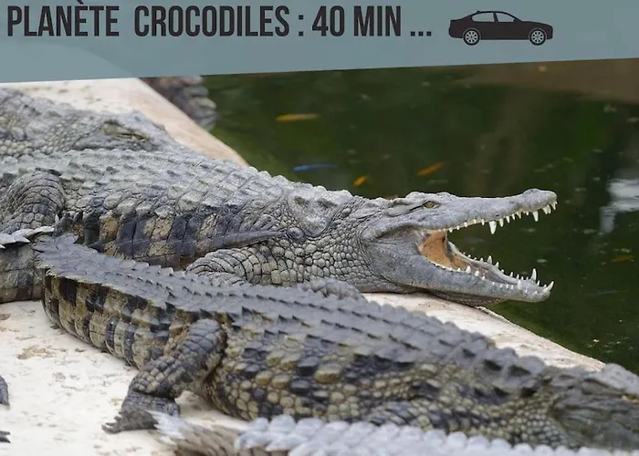 Studio 6 Acces Gare De Et Centre A Pieds Poitiers