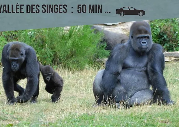 Studio 6 Acces Gare De Et Centre A Pieds *